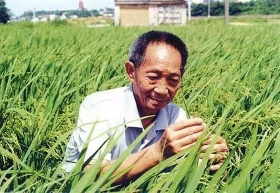 一日三餐，米香彌漫，飽食者當(dāng)憶袁公！