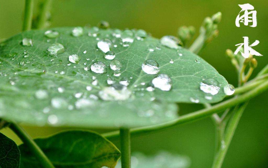 雨水！